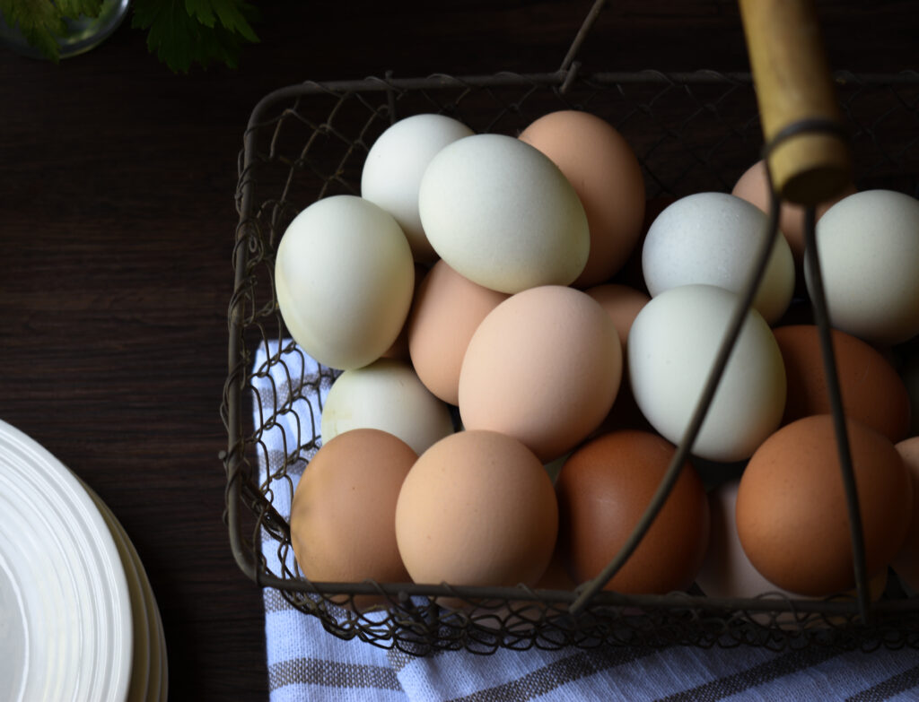 wire basket of colorful farm eggs